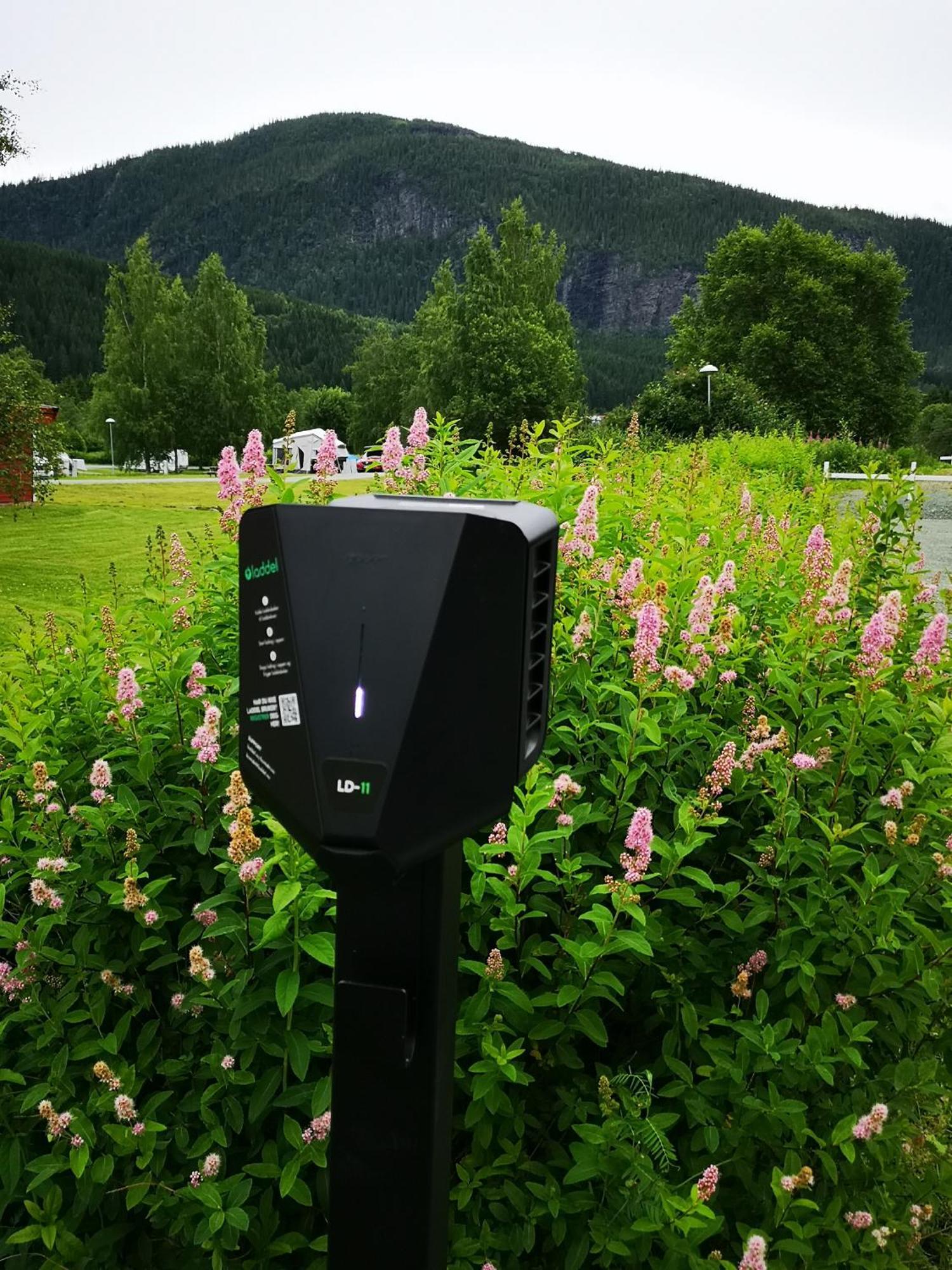 Langnes Camping, Grong Esterno foto